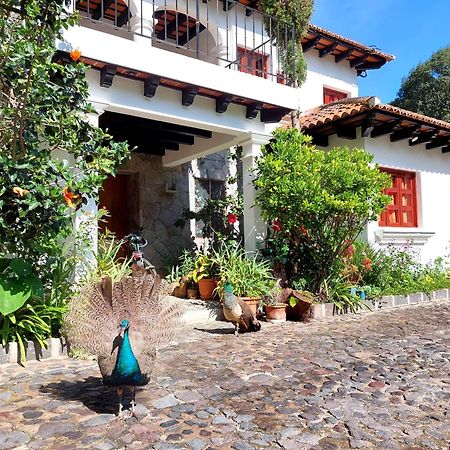 Hotel Y Jardines Casa Buho Antigua Luaran gambar