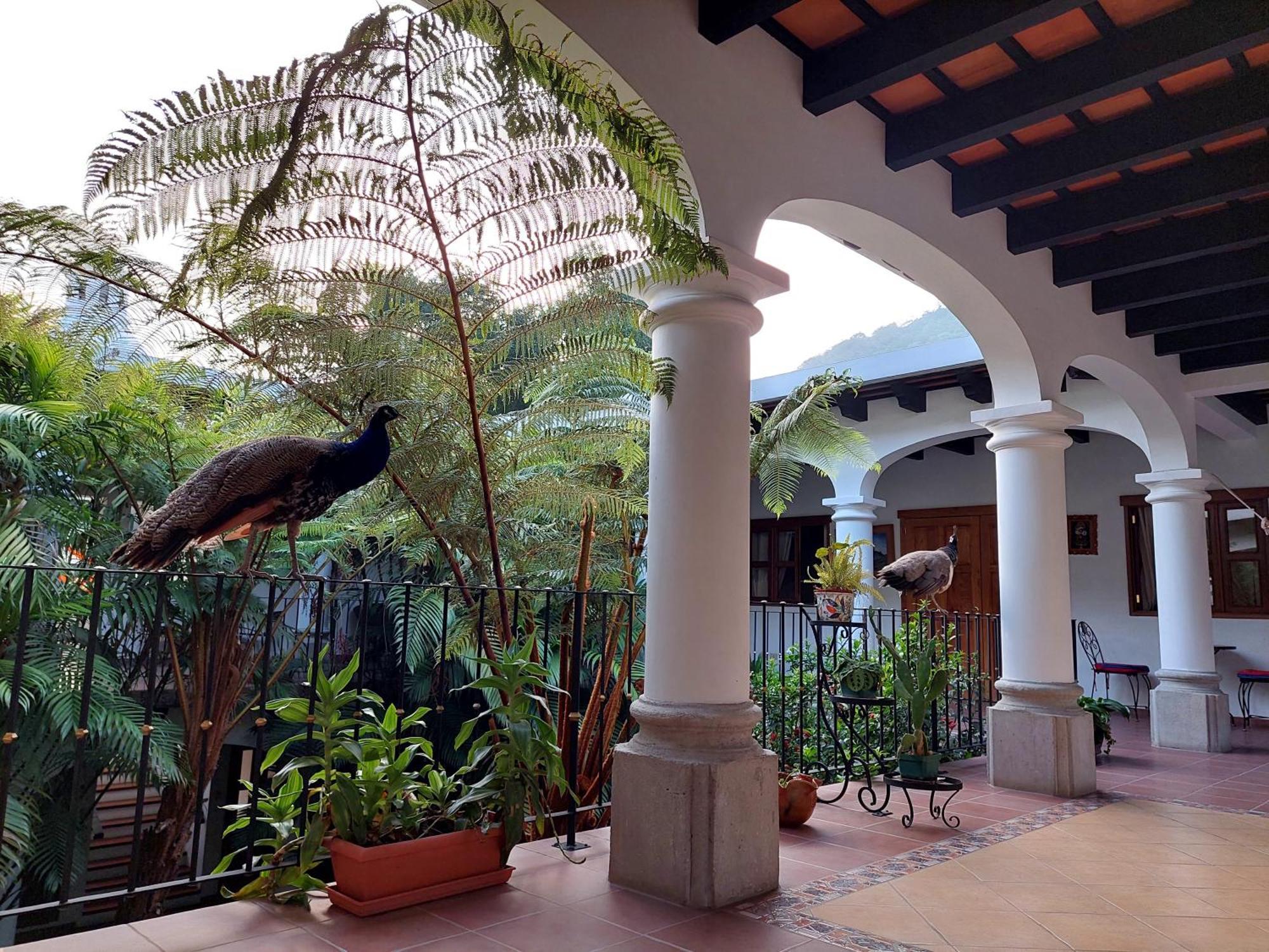 Hotel Y Jardines Casa Buho Antigua Luaran gambar
