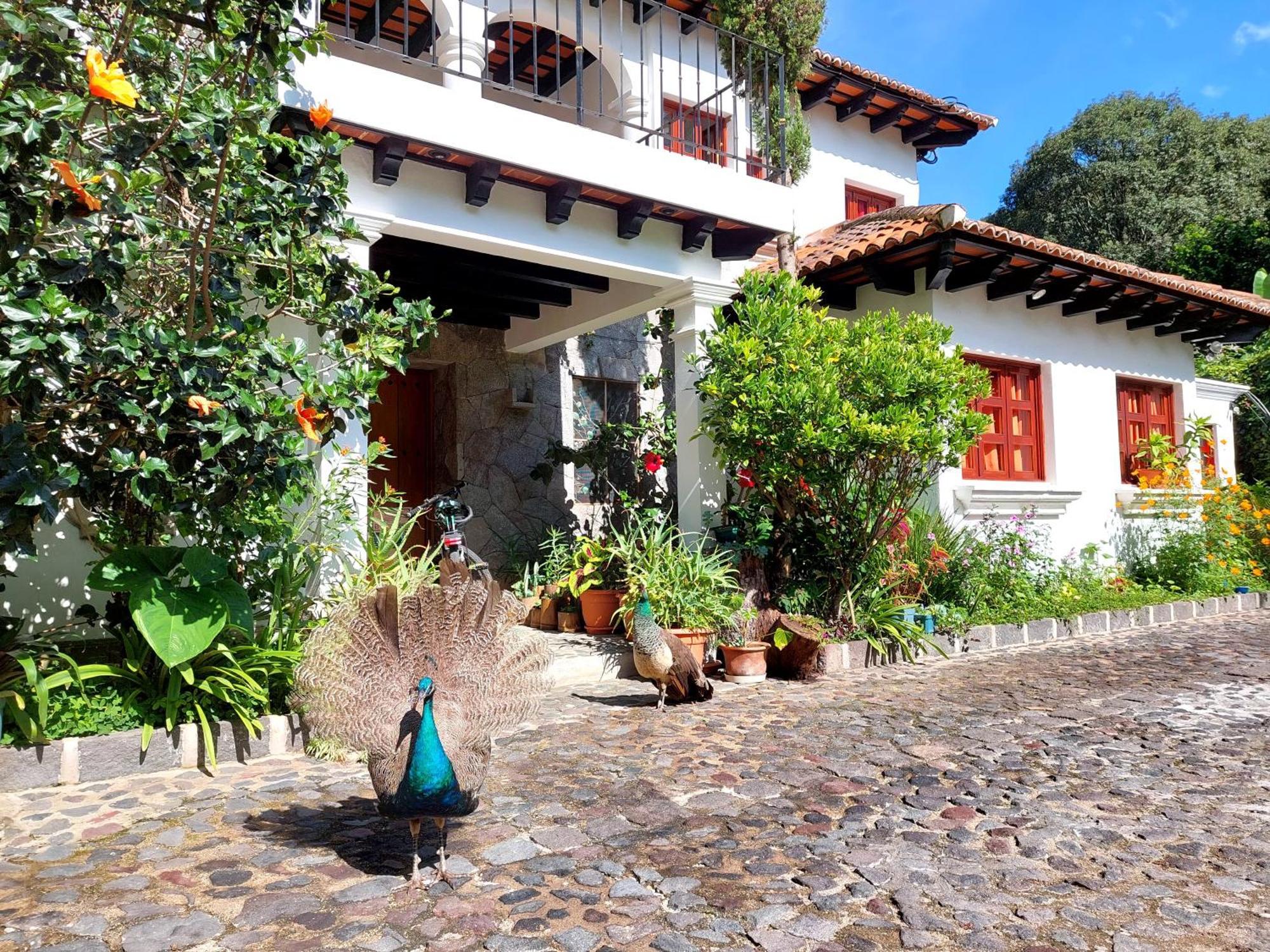 Hotel Y Jardines Casa Buho Antigua Luaran gambar